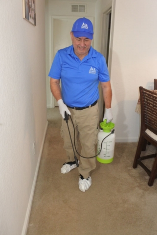 Carpet Cleaning with Chem Dry in Jacksonvile, Fl