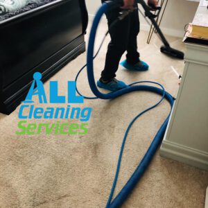 All Cleaning Services Jacksonville 9